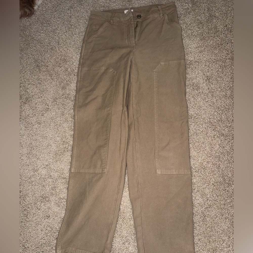Aritzia Wildfree Cargos